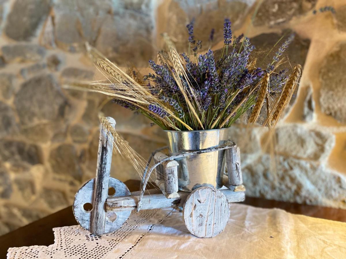 Bed and Breakfast L'Oca Giuliva Relais Gaggio Montano Exterior foto